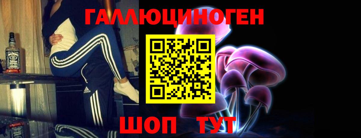 Псилоцибиновые грибы мицелий Рубцовск